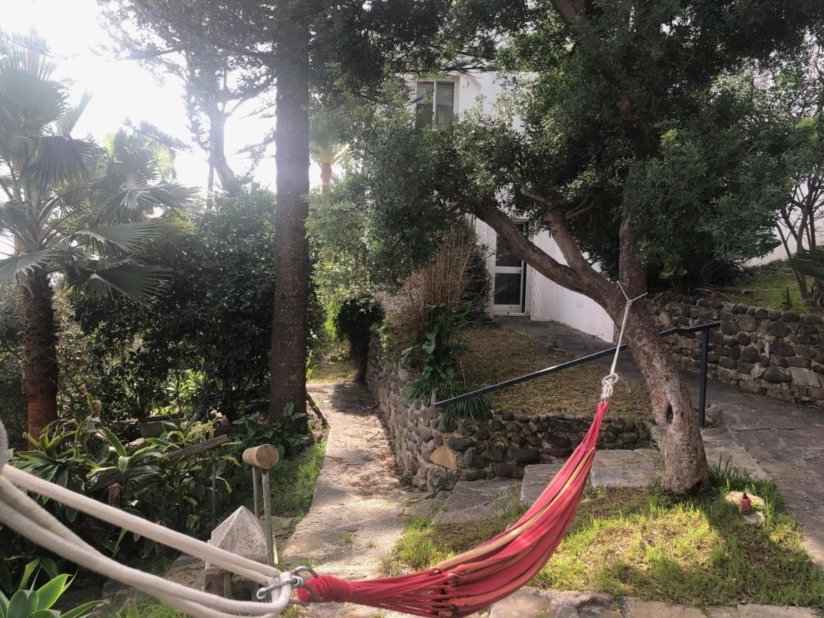 Casa Simba B&B (Adults Only) Estepona Esterno foto