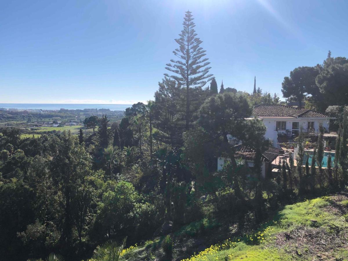 Casa Simba B&B (Adults Only) Estepona Esterno foto