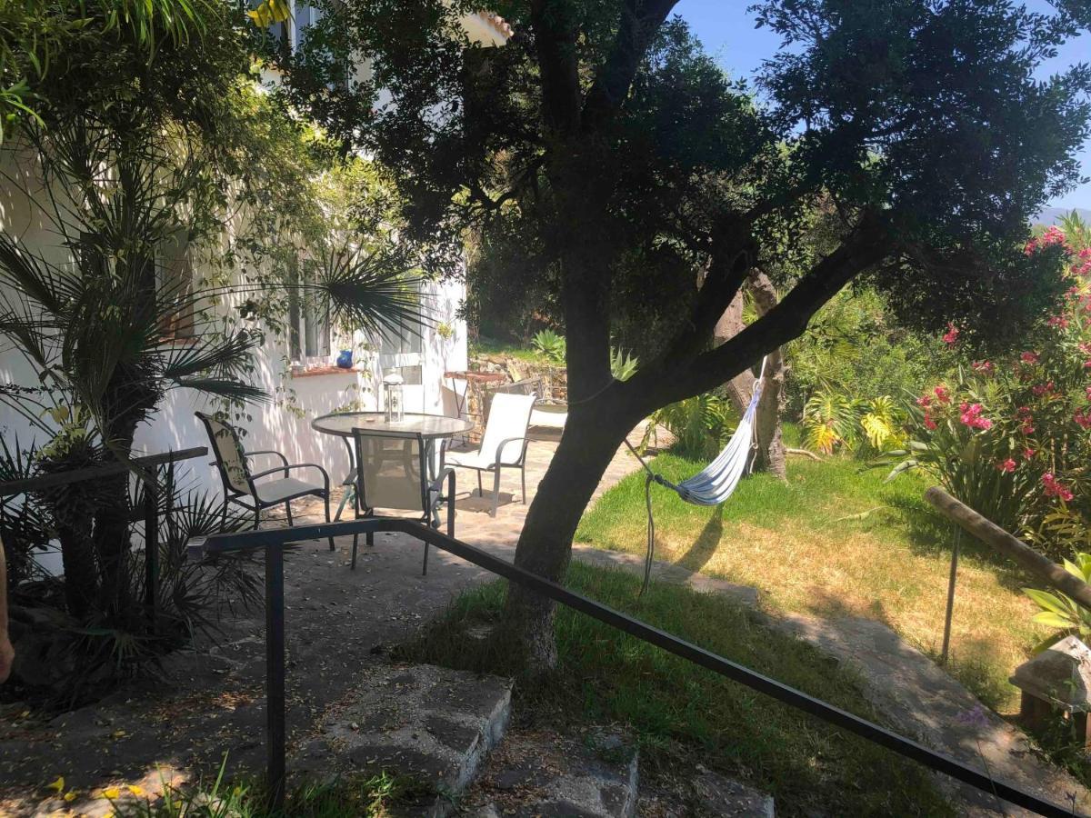Casa Simba B&B (Adults Only) Estepona Esterno foto
